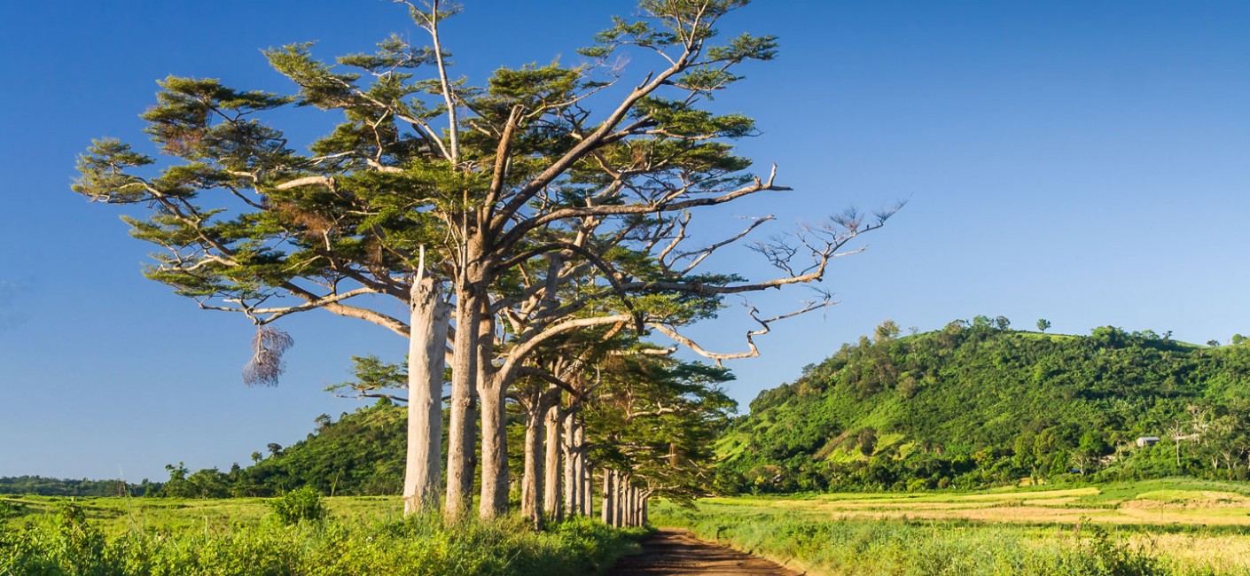 Flights to Madagascar with Air Seychelles